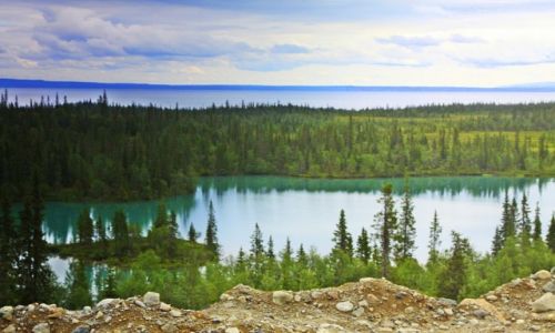 Zdjęcie ROSJA / płn-zach Rosja / teren rezerwatu / Oliennyj Ruczaj