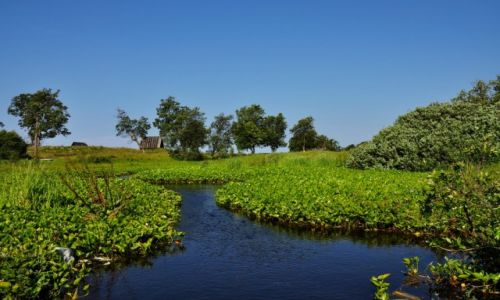 Zdjecie ROSJA / Morze Biae / Wyspy Soowieckie / Soowki - konkurs