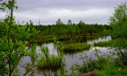 Zdjecie ROSJA / Okolice Murmaska / Okolice Murmaska / Okolice Murmaska