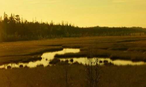 Zdjęcie ROSJA / Zielonborsk / Zielonborsk / Zielonborsk