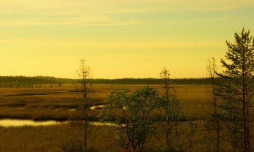 Zdjęcie ROSJA / Zielonborsk / Zielonborsk / Zielonborsk