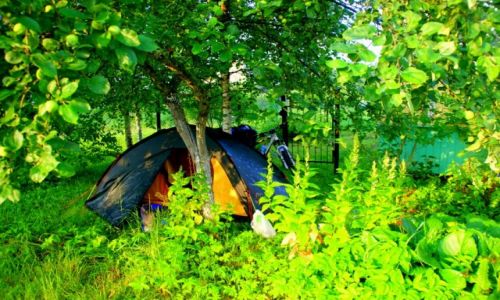 Zdjęcie ROSJA / Novogrocki Rejon / Novogrocki Rejon / O to  lubię