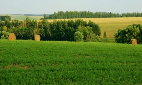 Zdjcie ROSJA / Terbush / Terbush /  ZA  MOSKW 