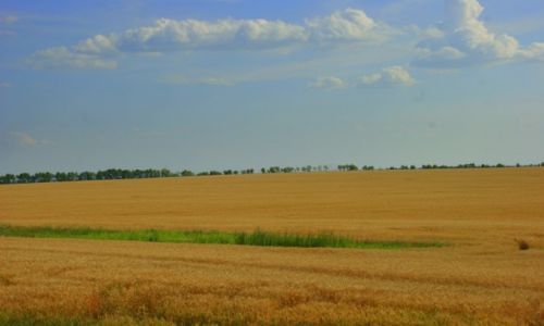 Zdjcie ROSJA / Okolice Moskwy / Okolice Moskwy / Okolice Moskwy