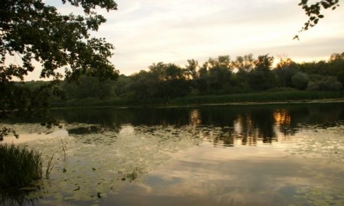 Zdjcie ROSJA / Okolice Moskwy / Okolice Moskwy / Przyklasztorny Park