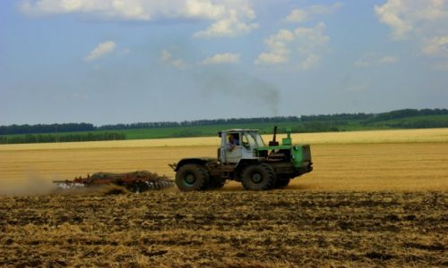 Zdj�cie ROSJA / Rossosh / Rossosh / Orka