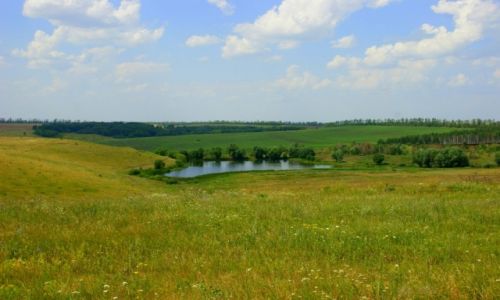 Zdj�cie ROSJA / Rossosh / Rossosh / Widoczek