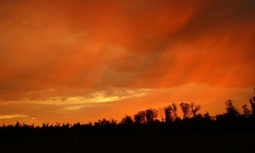 Zdj�cie ROSJA / Shakhty / Shakhty / Shakhty