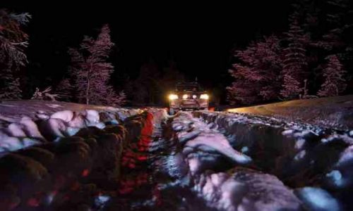 Zdjęcie ROSJA / Półwysep Kolski / Umba okolice / Bezdroża tajgi