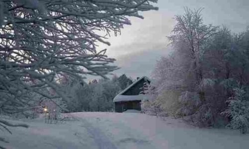 Zdjęcie ROSJA / Półwysep Kolski / Umba okolice / Przydomowa przestrzeń