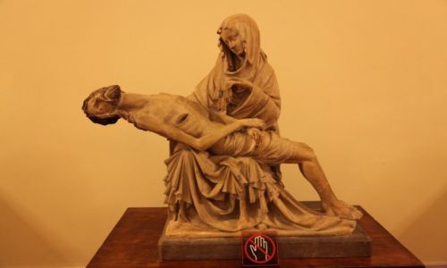 Zdjcie ROSJA / Sankt Petersburg  / Ermita / Pieta