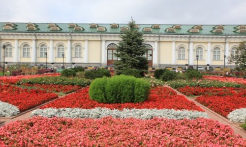 Zdjęcie ROSJA / Moskwa / Kreml / Ogrody Kremla