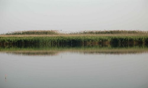 Zdjęcie ROSJA / brak / TANAIS / WĘDKUJEMY NAD MARTWYM DOŃCEM