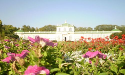 Zdjęcie ROSJA / moskwa / muzeum kuskowo / pałac szeremietjewow