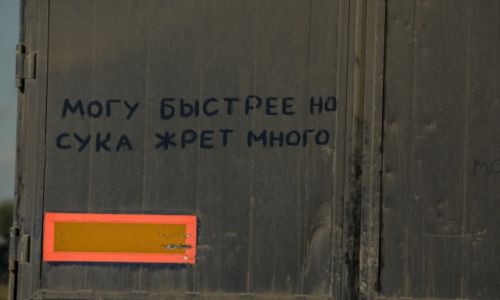 Zdjecie ROSJA / Rosja pd-wsch / na drodze / No i co robi...