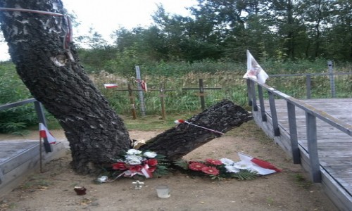 Zdjecie ROSJA / Smolesk / Lotnisko / Brzoza