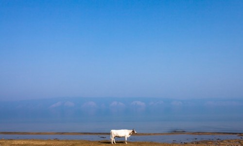 Zdjecie ROSJA / Bajka / Olchon / ByCow
