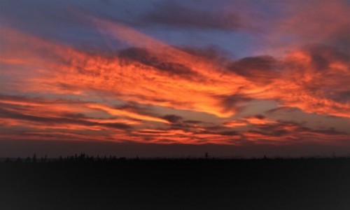 Zdjcie ROSJA / Obwd Irkucki / W drodze nad Bajka / Poranek