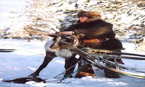Zdjęcie ROSJA / Półwysep Kolski / tundra, okolice Lovozero / w tundrze...