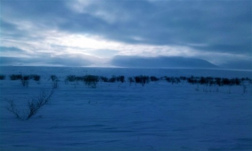 Zdjecie ROSJA / Ural / Ural / Polarny Ural