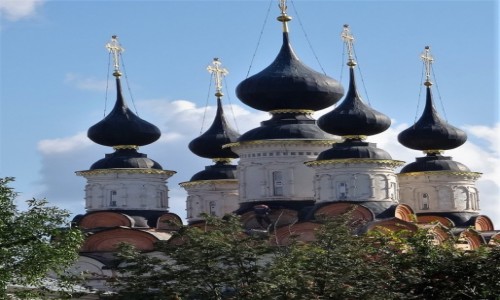 Zdj�cie ROSJA / Z�oty Pier�cie� Moskwy - Suzdal / Cerkiew Antipievskaja / Kopu�y i kopu�ki