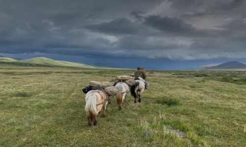 Zdjecie ROSJA / Jakucja ( republika Sacha ) / Gry Czerskiego pasmo Momskie / rider on the storm