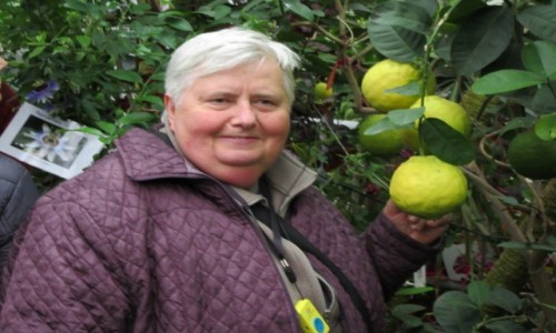 Zdjęcie ROSJA / Saratow / Saratow / Rejs po Wołdze - Saratow -Właścicielka palmiarni