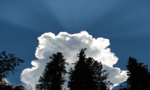 Zdjęcie ROSJA / Syberia / Chamar-Daban / Chmura