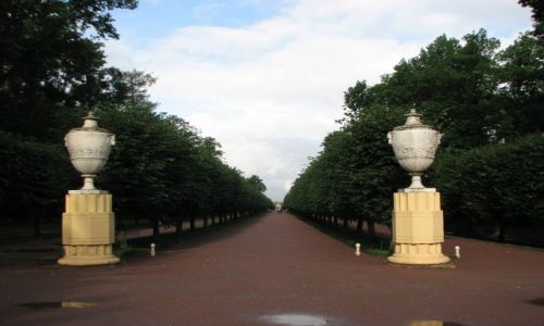 Zdjęcie ROSJA /  rejon pietrodworeckim Sankt Petersburga / Peterhof / Петергоф