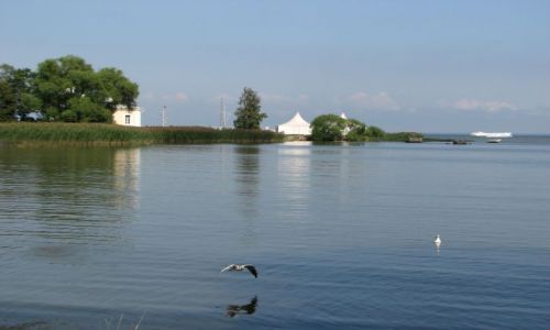 Zdjęcie ROSJA / ZATOKA FIŃSKA / Peterhof / zatoczka