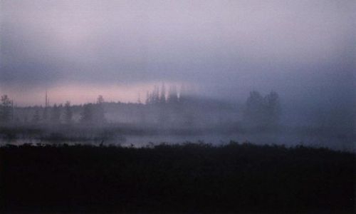 Zdjecie ROSJA / Archangielska Obłość / na wschód od Północnej Dźwiny / tzrecia nad ranem