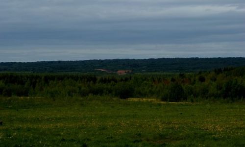 Zdjęcie ROSJA / Archangielsk / w rejonie Ładogi / czerwcowa wiosna