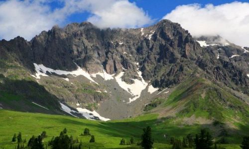 Zdjecie ROSJA / Syberia, Sajany Wschodnie / na podejciu pod szczyt Figurisow / pawie na miejscu