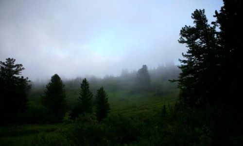 Zdjecie ROSJA / Syberia, Sajany Wschodnie / 280km od cywilizacji / syberyjski las deszczowy