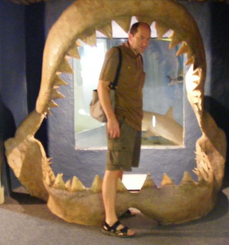 Zdjęcia: Transvaal Museum, Pretoria, Poznajmy się, RPA Zdjęcia: Transvaal Museum, Pretoria, Poznajmy się, RPA