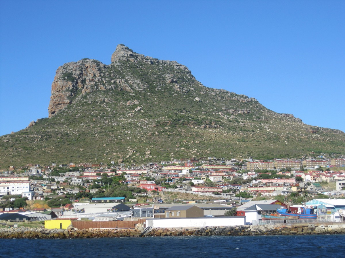 Zdjęcia: Przylądek Dobrej Nadziei, Przylądek Dobrej Nadziei, Przylądek Dobrej Nadziei, RPA Zdjęcia: Przylądek Dobrej Nadziei, Przylądek Dobrej Nadziei, Przylądek Dobrej Nadziei, RPA