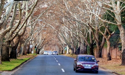 Zdjcie RPA / Johannesburg / Johannesburg / Ulica