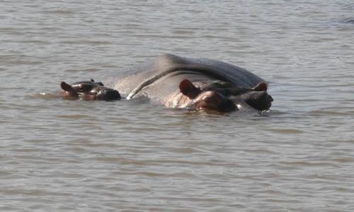 Zdjęcie RPA / Zulu Land / Zulu Land/ Jezioro St. Lucia / Szczęśliwa mama z maleństwem