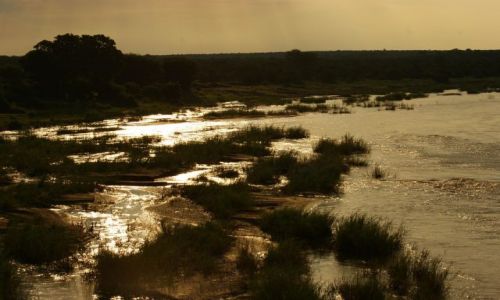 Zdjęcie RPA / Park Krugera / Olifants River / Olifants River