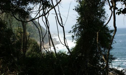 Zdjcie RPA / Tsitsikamma  / National Park / Ocean Indyjski