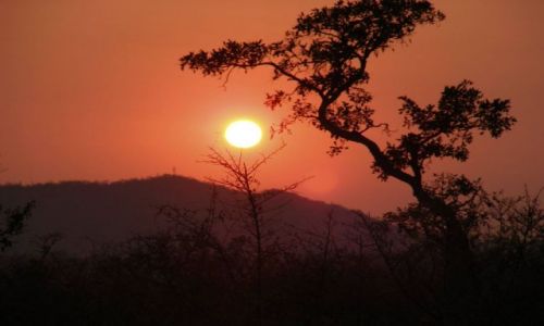 Zdjecie RPA / Prowincje Limpopo i Mpumalanga / Park Narodowy Krugera / Zew Krugera