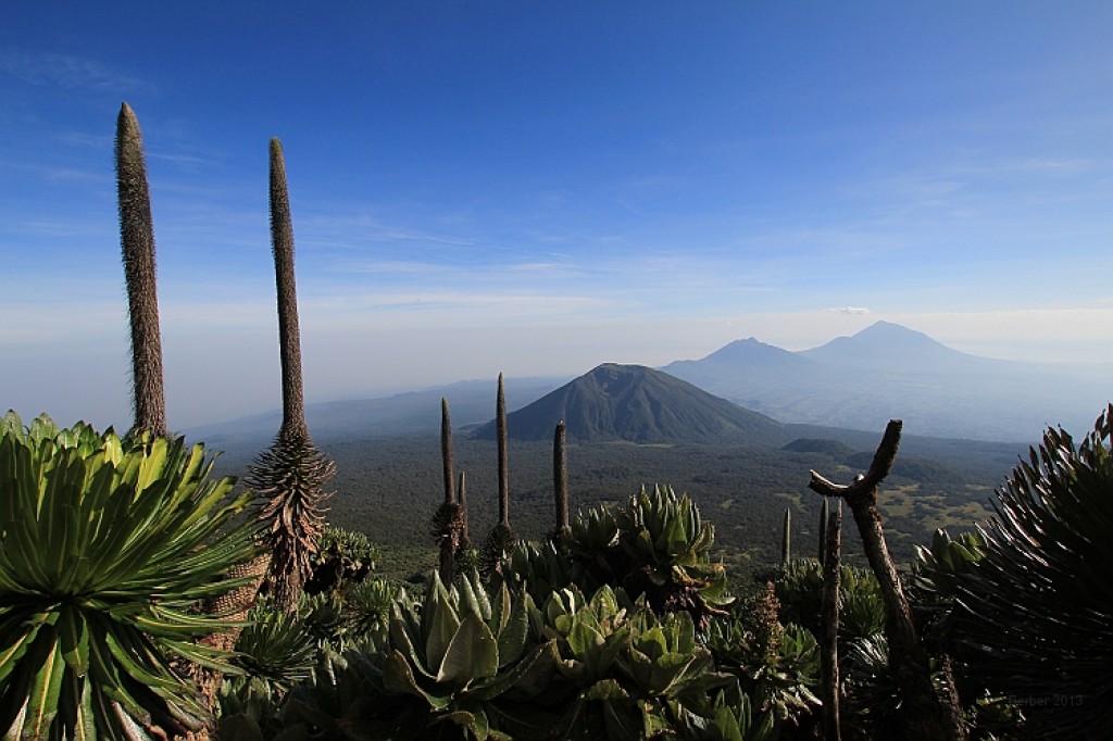 Zdjęcia: Rwanda, Volcanos National Park, Wulkany, RUANDA Zdjęcia: Rwanda, Volcanos National Park, Wulkany, RUANDA