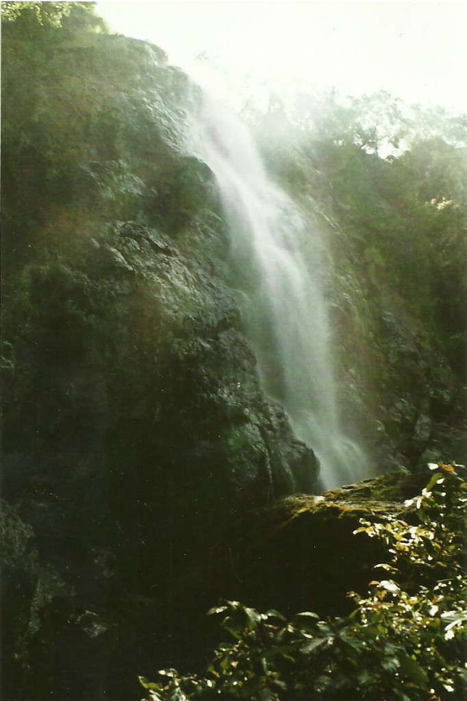 Zdjęcia: Nyungwe Forest, Płd. Rwanda, Wodospad Nyungwe, RUANDA Zdjęcia: Nyungwe Forest, Płd. Rwanda, Wodospad Nyungwe, RUANDA