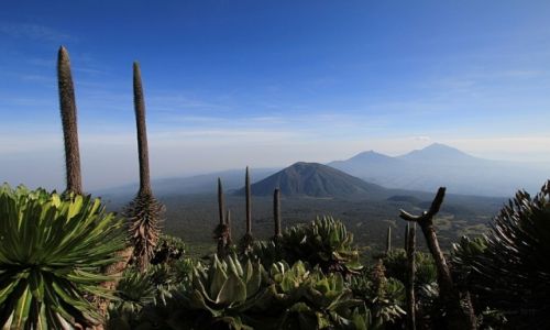Zdjecie RUANDA / Volcanos National Park / Rwanda / Wulkany
