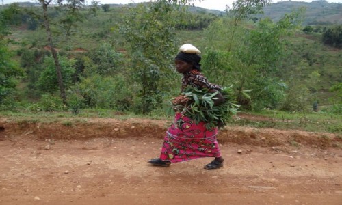 Zdjęcie RUANDA / Droga do Kibeho  / j.w. / Jak brakuje rąk...