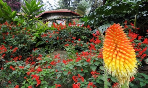 Zdjęcie RUANDA / Przy jeziorze Kivu / Kompleks hotelowy  / Urokliwy domek