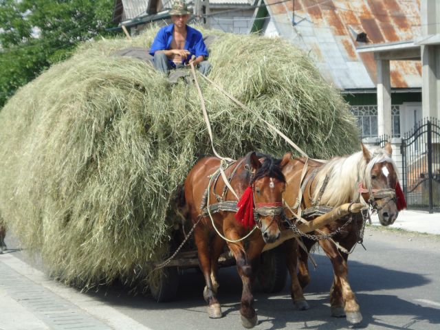 Zdjęcia: Sapanta, Maramuresz, Rumunia 2011, RUMUNIA Zdjęcia: Sapanta, Maramuresz, Rumunia 2011, RUMUNIA