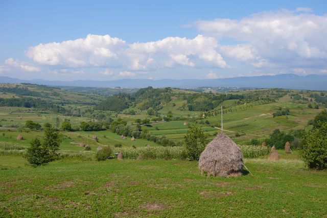 Zdjęcia: przy drodze, Calinesti, Rumunskie klimaty, RUMUNIA Zdjęcia: przy drodze, Calinesti, Rumunskie klimaty, RUMUNIA
