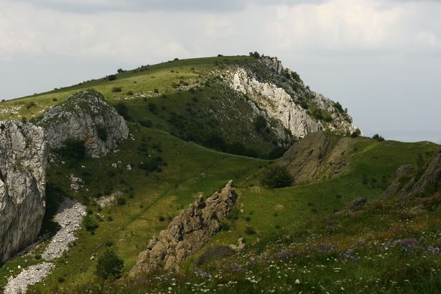 Zdjęcia: Niedaleko Rimetei, Transylwania, KONKURS, RUMUNIA Zdjęcia: Niedaleko Rimetei, Transylwania, KONKURS, RUMUNIA