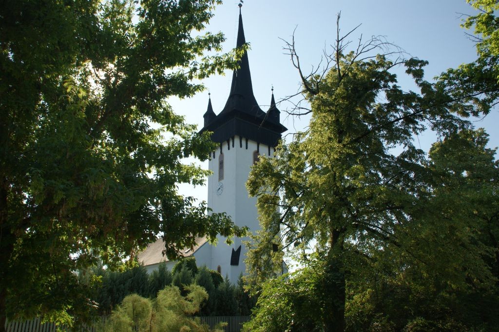 Zdjęcia: Satu Mare, Satu Mare, Satu Mare, RUMUNIA Zdjęcia: Satu Mare, Satu Mare, Satu Mare, RUMUNIA